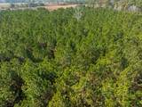 TBD 183 Acres Blakely Rd. - Photo 39