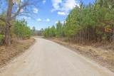 TBD 183 Acres Blakely Rd. - Photo 40