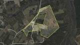 TBD 183 Acres Blakely Rd. - Photo 43