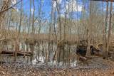 TBD 183 Acres Blakely Rd. - Photo 6