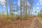 TBD 183 Acres Blakely Rd. - Photo 8