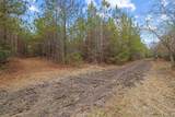 TBD 183 Acres Blakely Rd. - Photo 9
