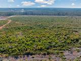 100 Acres Fifteen Mile Bay Rd. - Photo 13