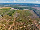 100 Acres Fifteen Mile Bay Rd. - Photo 4