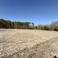 2249 Joann Branch Rd. - Photo 5