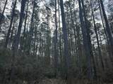 TBD Hunters Chapel Rd - Photo 26