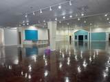 6613 N Kings Hwy. - Photo 3