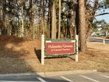 199 Palmetto Green Dr. - Photo 37