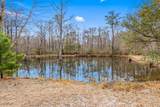 TBD Shadow Moss Ln. - Photo 21