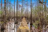 TBD Shadow Moss Ln. - Photo 23