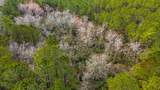 9060 Black Creek Rd. - Photo 14