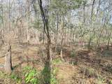 9.25 Acres Highway 9 - Photo 15