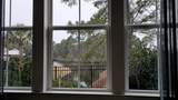 8304 Juxa Dr. - Photo 59