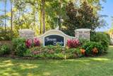 2317 Via Palma Dr. - Photo 47