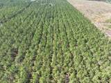 TBD Rocky Ford Rd. - Photo 10