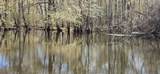 415 Locust Tree Ct. - Photo 42