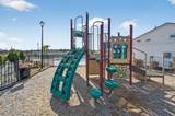 225 Cypress Tree Loop - Photo 47