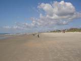 14290 Ocean Highway - Photo 49