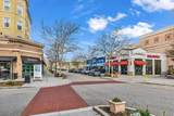 3344 Pampas Dr. - Photo 61