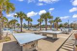3344 Pampas Dr. - Photo 64