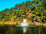 407 Big Woods Ct. - Photo 30