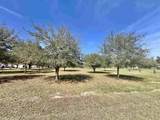 2207 Norwood Dr. - Photo 18