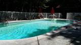 700 Steerfork Dr - Photo 3