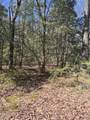 700 Steerfork Dr - Photo 6