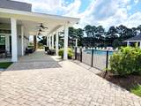516 Papyrus Circle - Photo 51