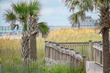 4350 Intercoastal Dr. - Photo 34