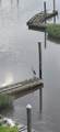 4413 Eastport Blvd. - Photo 45