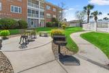 3923 Gladiola Ct. - Photo 31