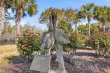 517 Sea Island Way - Photo 48