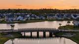 1179 Fiddlehead Way - Photo 94