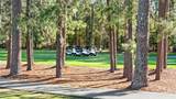 1700 Wood Stork Dr. - Photo 38