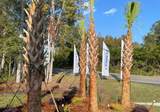 3406 Wood Stork Dr. - Photo 14
