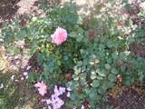 78 A J Lane - Photo 69