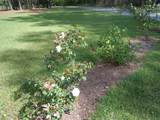 78 A J Lane - Photo 74