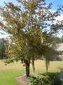 78 A J Lane - Photo 79