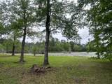 233 Williamson Lake Circle - Photo 83