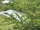 TBD Bradford Dr. - Photo 3