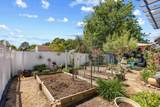 3006 Sabal Ct. - Photo 36