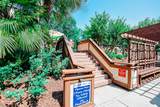 223 Maison Dr. - Photo 40