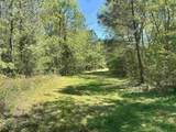 187 Ibis Ln. - Photo 29