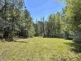 187 Ibis Ln. - Photo 30