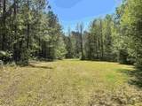 187 Ibis Ln. - Photo 31