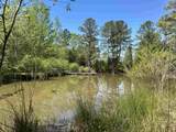 187 Ibis Ln. - Photo 33