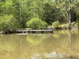 187 Ibis Ln. - Photo 34