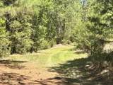 187 Ibis Ln. - Photo 35