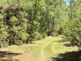 187 Ibis Ln. - Photo 36